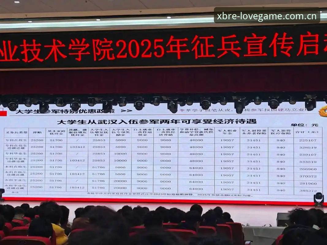 官方本色领衔2025登录入口安全吗 揭秘“官方本色领衔”背后的安全逻辑——2025入口,哪些值得你信任?
